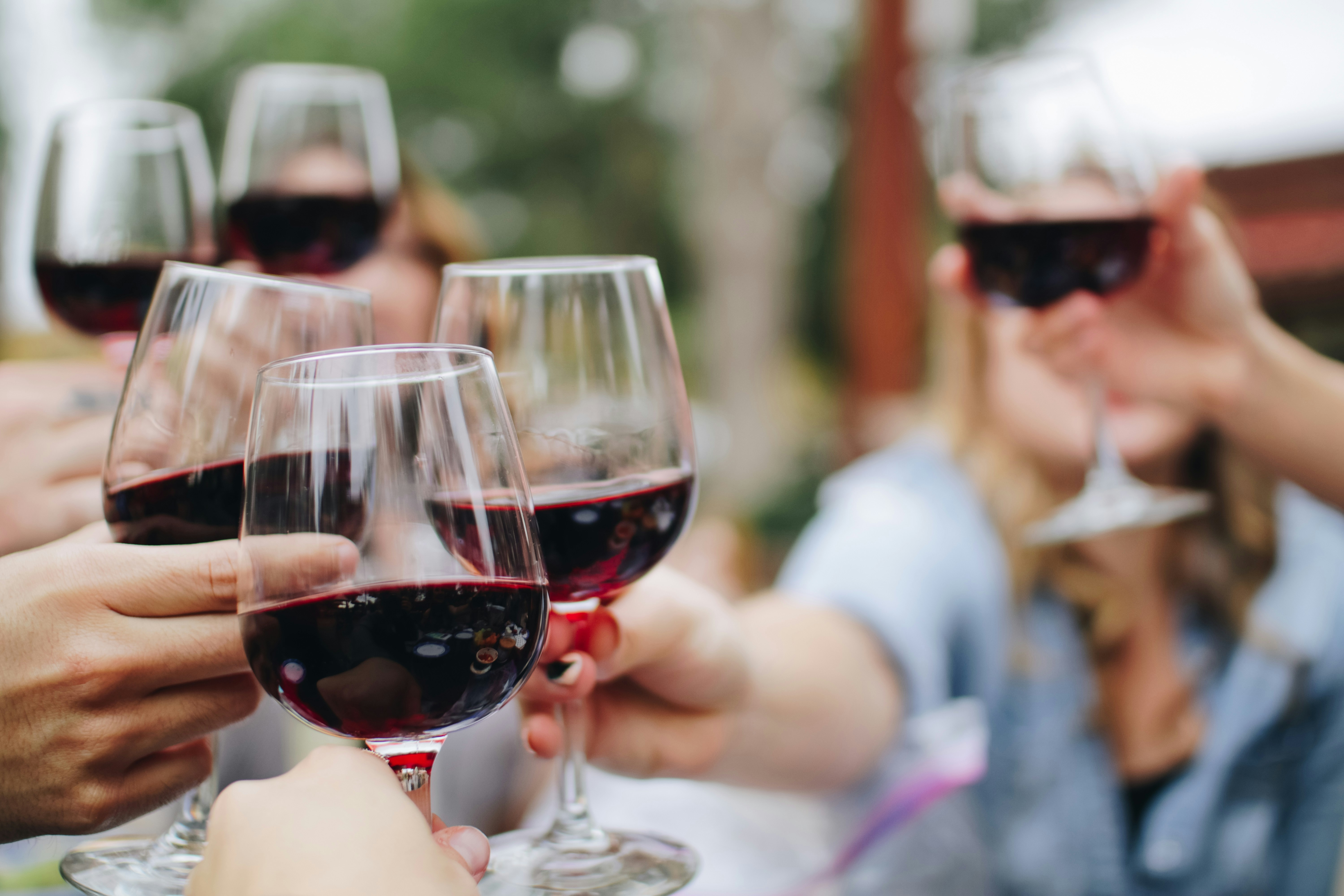  Cata de vinos en restaurante elegante